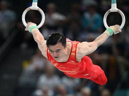 吊环之上，他是静止的王者—记奥运会体操吊环冠军的荣耀之路
