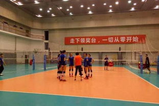 中国女排近期有比赛吗？最新赛程与备战动态一览