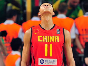 那一年，我们与世界之巅的距离—回顾最近一次男篮世锦赛